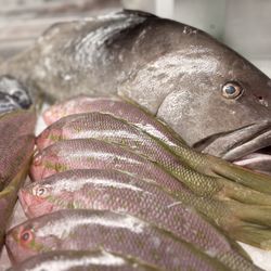 Pelican Seafood