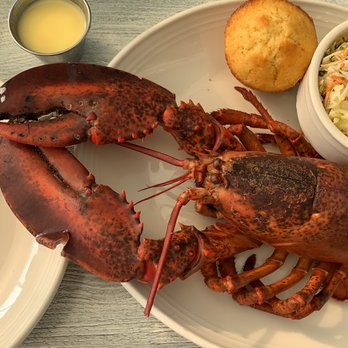 Scales - Lobster!!! - Seafood Near Me - Portland, Maine Scales - Lobster!!! - Seafood Near Me - Portland, Maine