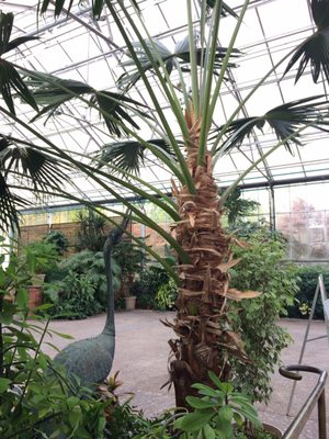 Fairmount Park Horticulture Center by null