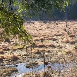 Beaver Lake