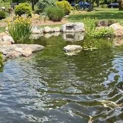 Pond Country