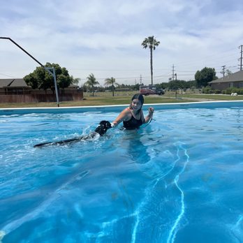 Vibrant K9 - Core memory - our Bailie girl (who hates water) trusts Elly for his first dock diving lesson! - Pet Training Near Me Vibrant K9 - Core memory - our Bailie girl (who hates water) trusts Elly for his first dock diving lesson! - Pet Training Near Me