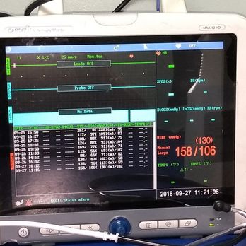 Robert Prosek, DVM MS - Cutting edge technology! Ultrasound is real time, color, 3D info.  Immediate info on valves, reflux, and location of heart murmur. - Veterinarians Near Me - South Miami, Florida