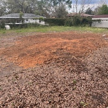 Durham's Tree Service - Back - Tree Services Near Me - Winter Haven, Florida