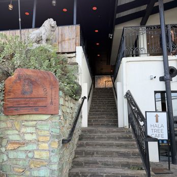 Hala Tree Cafe - Located up the stairs next to The Crouching Lion - Coffee & Tea Near Me - Kaaawa, Hawaii Hala Tree Cafe - Located up the stairs next to The Crouching Lion - Coffee & Tea Near Me - Kaaawa, Hawaii