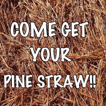 Alabama Straw Company - a pile of straw with the words come get your pine straw - Landscaping Near Me - Foley, Alabama Alabama Straw Company - a pile of straw with the words come get your pine straw - Landscaping Near Me - Foley, Alabama