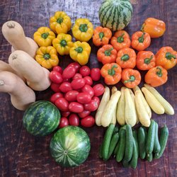 Produce On Wheels - With Out waste - Yellow bell peppers were a little soft this time, so we only took 6 of the best we could pick.