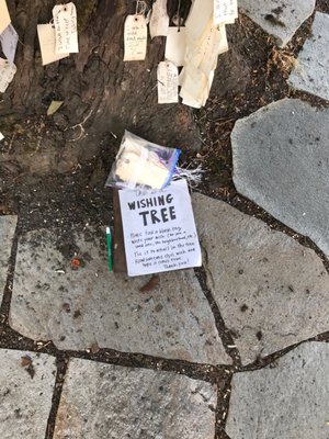 The Wishing Tree by null