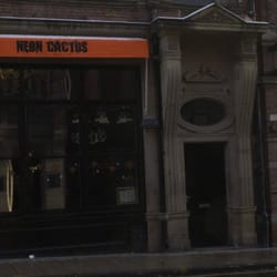 Neon Cactus