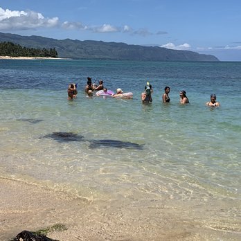Laniakea Beach - Beaches Near Me - Haleiwa, Hawaii