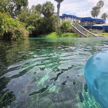 Weeki Wachee Springs - Amusement Parks Near Me - Spring Hill, Florida