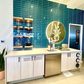 Succulent Coffee Roasters - Coffee & Tea Near Me - Huntington Beach, California Succulent Coffee Roasters - Coffee & Tea Near Me - Huntington Beach, California