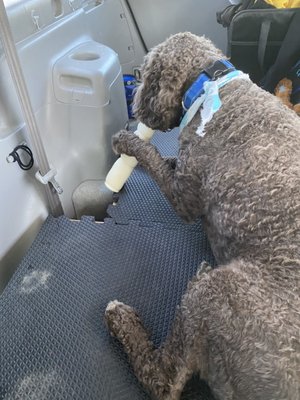 Friday Harbor Pet Supplies