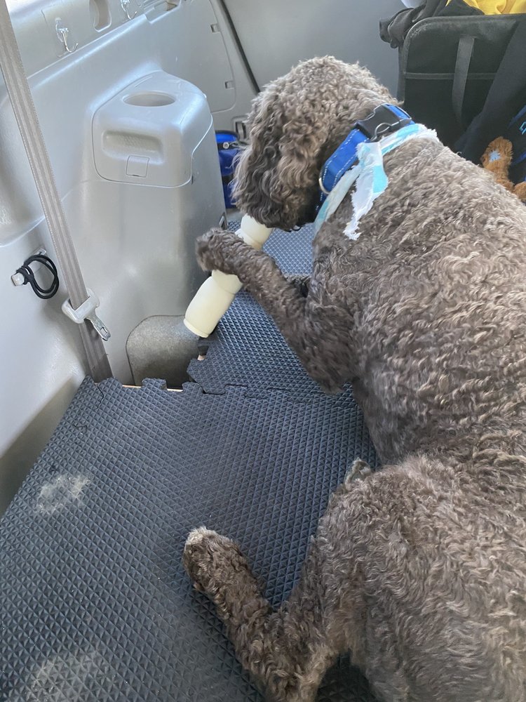 Friday Harbor Pet Supplies Image