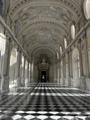 La Venaria Reale by null