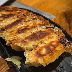 Dough Zone Dumpling House - Woodinville - Chicken Potstickers (6) 鸡肉锅贴