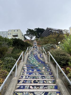 16th Avenue Tiled Steps by null