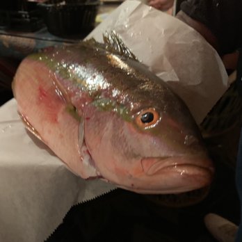 The Fish House - Help me ............. I think I'm going to get drunk again but the 'tender excuse me. Hicccc - Seafood Near Me - Key Largo, Florida The Fish House - Help me ............. I think I'm going to get drunk again but the 'tender excuse me. Hicccc - Seafood Near Me - Key Largo, Florida
