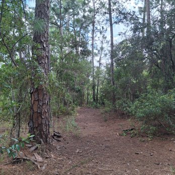 Liberty Park - Parks Near Me - Lake Mary, Florida