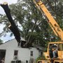 Addison Tree Care