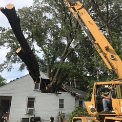 Addison Tree Care