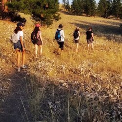 Wild Horse Island Boat Trips - Hiking on the island
