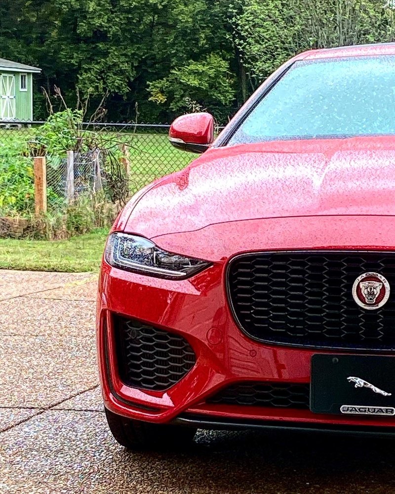 JAGUAR NASHVILLE Updated July 2024 25 Photos & 13 Reviews 3