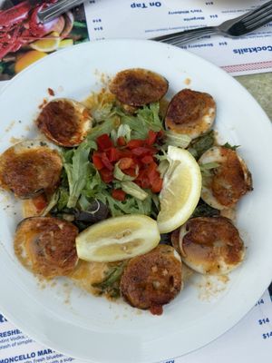 Frank Guido's Port of Call by null