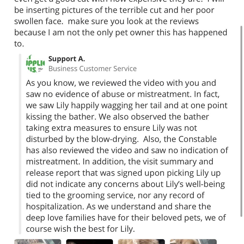 Pet Supplies Plus - Spring - Response - Pet Groomers Near Me - Spring, Texas