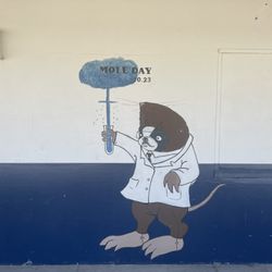 Redlands High School - Mascot