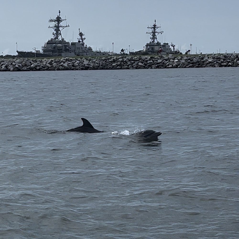 Lucky Dolphin Tours - Boat Tours Near Me - Jacksonville, Florida Lucky Dolphin Tours - Boat Tours Near Me - Jacksonville, Florida