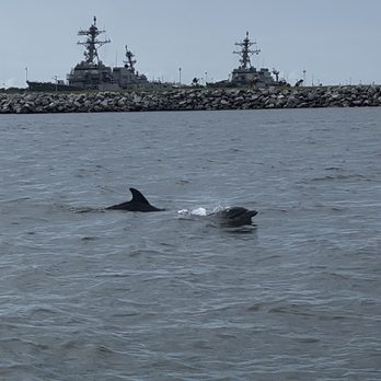 Lucky Dolphin Tours - Boat Tours Near Me - Jacksonville, Florida Lucky Dolphin Tours - Boat Tours Near Me - Jacksonville, Florida