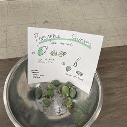 Bay Strength - I did not expect to learn about new foods at the gym, but this was a pleasant surprise.