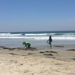 YMCA Camp Surf
