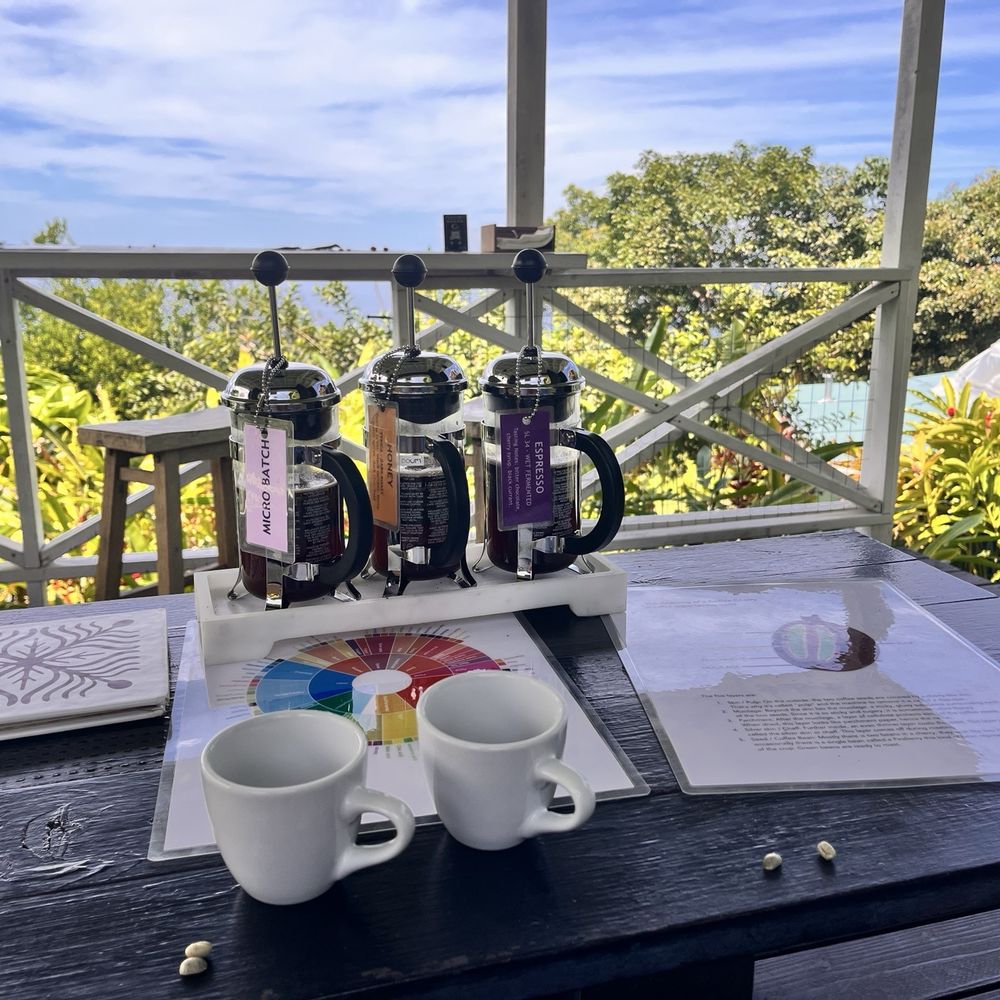 Hala Tree Coffee - Coffee flight samples - Attraction Farms Near Me - Captain Cook, Hawaii Hala Tree Coffee - Coffee flight samples - Attraction Farms Near Me - Captain Cook, Hawaii