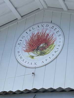 Big Island Bees by null