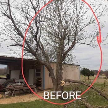 Adrean's Tree Service - Tree Services Near Me Adrean's Tree Service - Tree Services Near Me