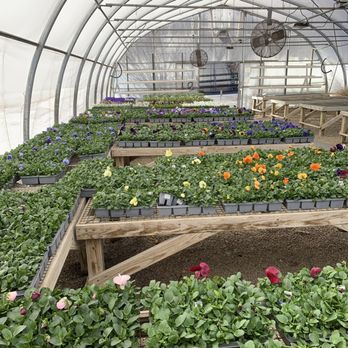 Rosedale Nurseries - Nurseries & Gardening Near Me - Hawthorne, New York