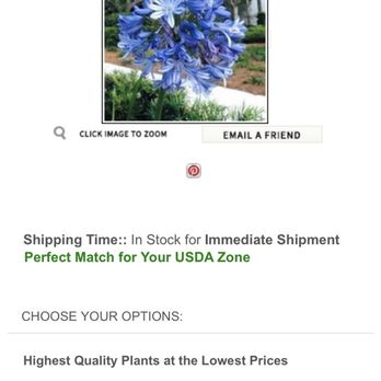 Ty Ty Nursery - Order page for my plant on Tyty website. - Nurseries & Gardening Near Me - Ty Ty, Georgia