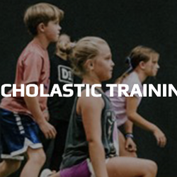 D1 Training Arlington Heights