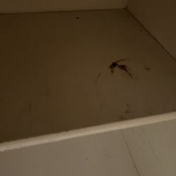 North Texas Property Management