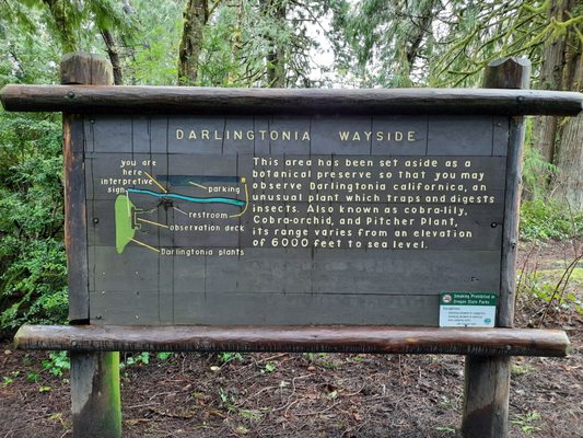 Darlingtonia State Natural Site by null