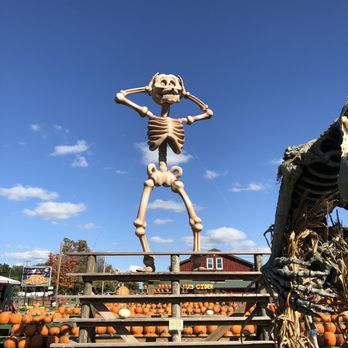 The Great Pumpkin Farm - Pumpkin Patches Near Me - Clarence, New York