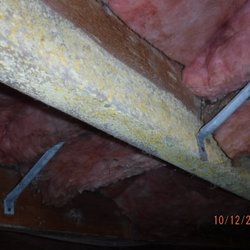 All Inspect - Mold contaminated floor joists before remediation.
