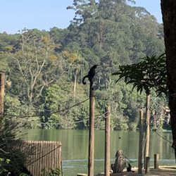 Zoológico de São Paulo