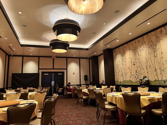 Ping Pang Pong by null