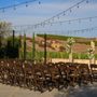 Truffle Pig Winery by Wedgewood Weddings