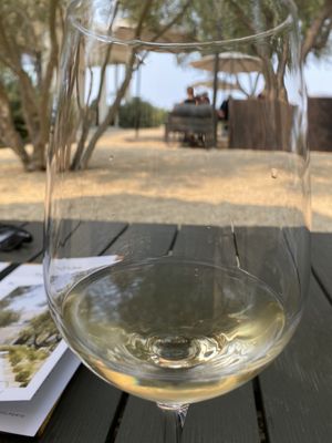 Biddle Ranch Vineyard by null