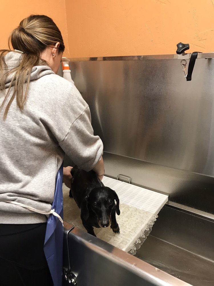 WAG HEAVEN PET SUPPLIES & SELFSERVE DOG WASH Updated June 2024 14