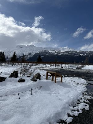 Alaska Wildlife Conservation Center by null